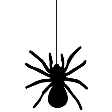 Free Hand-Drawn Spider Clipart to Edit Online