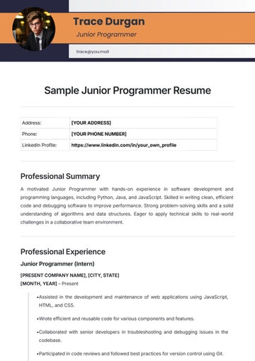 Free Sample Junior Programmer Resume Template to Edit Online