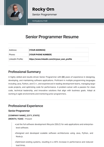 Free Senior Programmer Resume Template to Edit Online