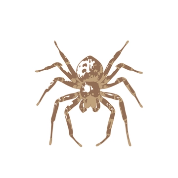 Free Vintage Spider Clipart to Edit Online