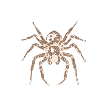 Free Abstract Spider Clipart to Edit Online