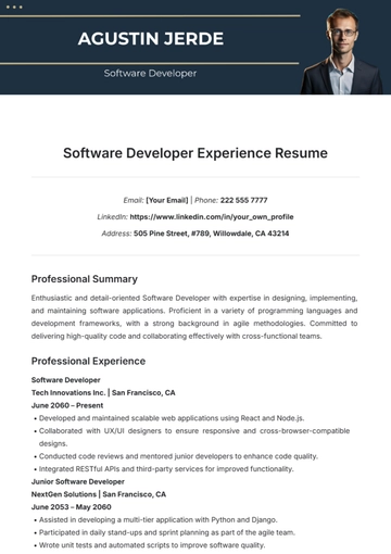 Free Software Developer Experience Resume Template to Edit Online