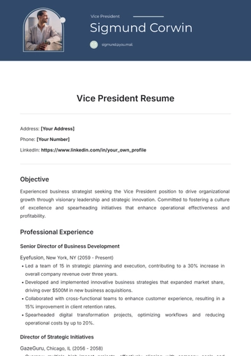 Free Vice President Resume Template to Edit Online