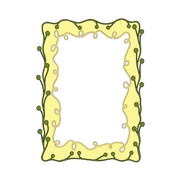 Free Decorative Frame Clipart to Edit Online