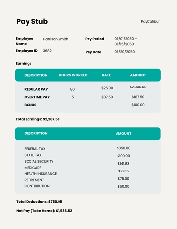 Free Professional Pay Stub Template to Edit Online | Template.net