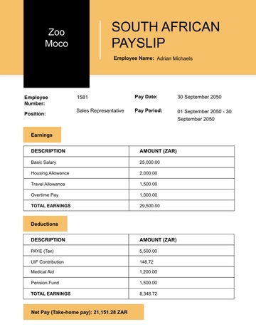 Free South African Payslip Template to Edit Online | Template.net