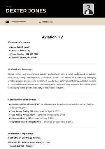 Free Aviation CV Template to Edit Online