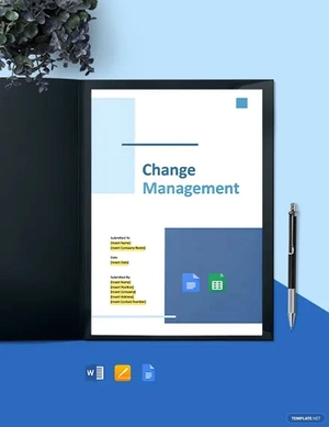 Consulting Recommendations Report Template