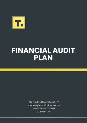 Free Financial Audit Plan Template to Edit Online