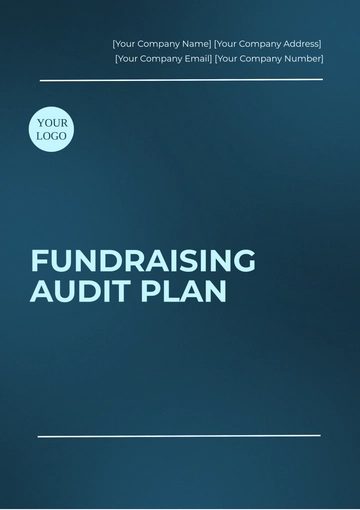 Free Fundraising Audit Plan Template to Edit Online