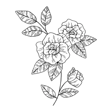 Free Floral Outline Clipart to Edit Online Free Floral Outline Clipart to Edit Online