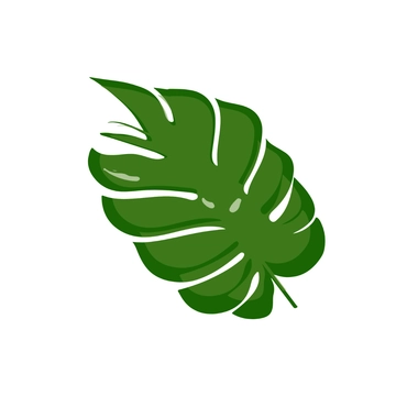 Free Tropical Leaves Clipart to Edit Online