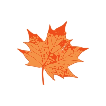 Free Maple Leaves Clipart to Edit Online