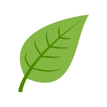 Free Simple Leaves Clipart to Edit Online