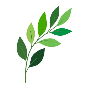 Free Editable Leaves Clipart to Edit Online
