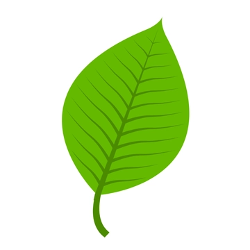 Free Green Leaves Clipart to Edit Online
