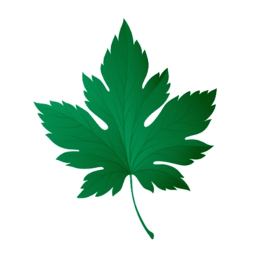 Free Realistic Leaves Clipart to Edit Online Free Realistic Leaves Clipart to Edit Online