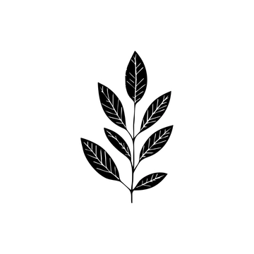 Free Black and White Leaves Clipart to Edit Online