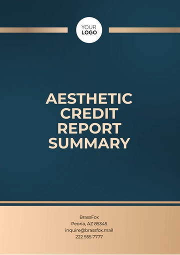 Free Aesthetic Credit Report Summary Template to Edit Online