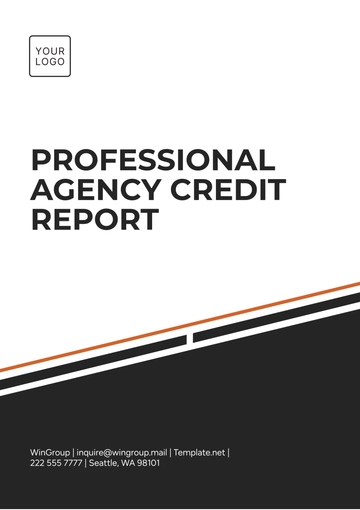 Free Professional Agency Credit Report Template to Edit Online