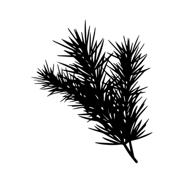 Free Pine Leaves Clipart to Edit Online