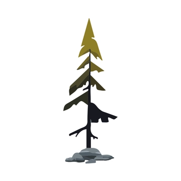Free Pine Illustration Clipart to Edit Online