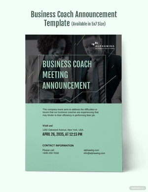 Business Coach Announcement Template