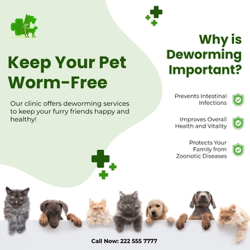 Free Veterinary Clinic Instagram Post Template to Edit Online
