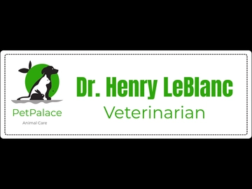 Free Animal Care Name Tag Template to Edit Online
