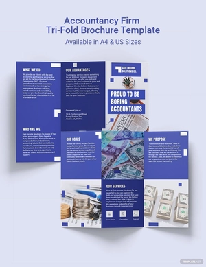 Accountancy Firm Tri-Fold Brochure Template