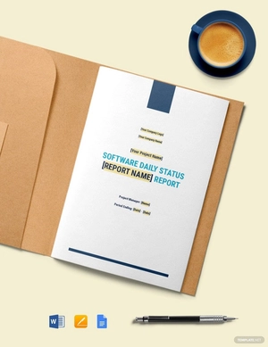 Software Daily Status Report Template