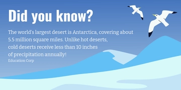 Free Factoid Template to Edit Online Free Factoid Template to Edit Online