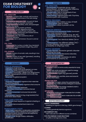 Free Cheatsheet for Exam Template to Edit Online