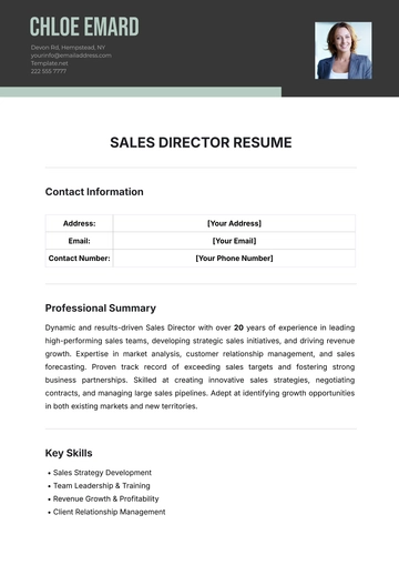 Free Sales Director Resume Template to Edit Online
