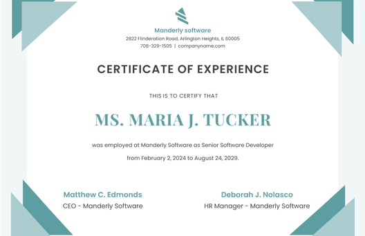 IT Experience Certificate Template