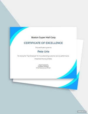 Editable Customer Service Certificate Template