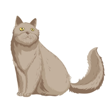 Free Realistic Cat Clipart to Edit Online