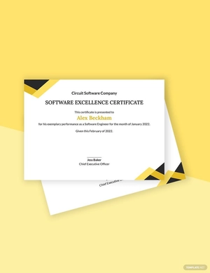 Software Excellence Certificate Template