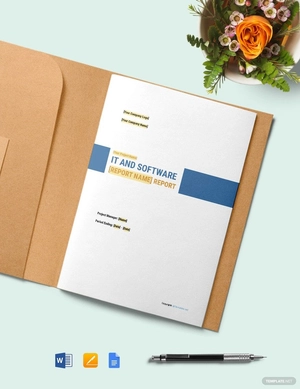 Basic IT and Software Report Template
