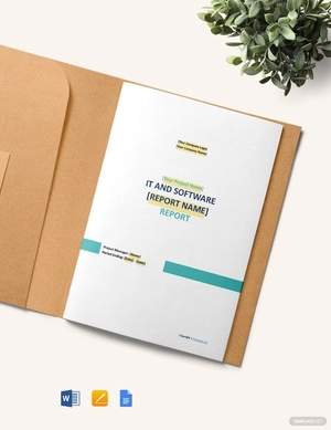 Sample IT and Software Report Template