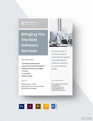 Software Service Company Flyer Template