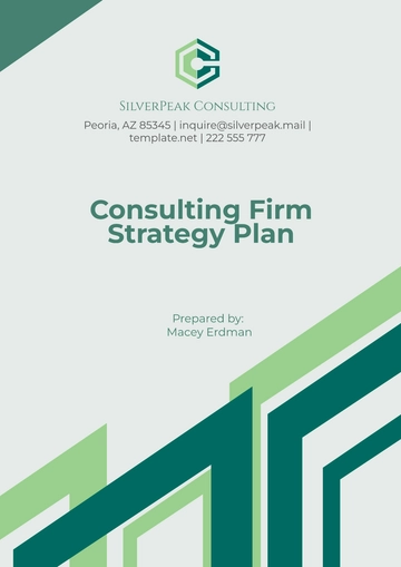 Free Consulting Firm Strategy Plan Template to Edit Online