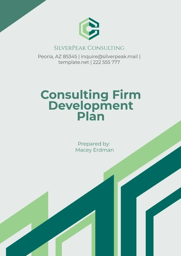Free Consulting Firm Development Plan Template to Edit Online