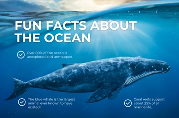 Free Factoid Banner Template to Edit Online Free Factoid Banner Template to Edit Online