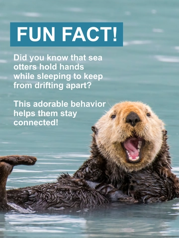 Free Factoid Social Media Post Template to Edit Online Free Factoid Social Media Post Template to Edit Online