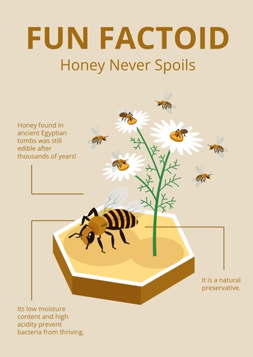 Free Factoid Infographic Template to Edit Online Free Factoid Infographic Template to Edit Online