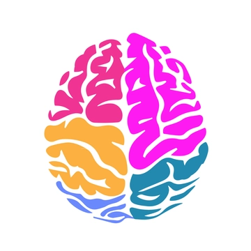 Free Brain Anatomy Clipart to Edit Online