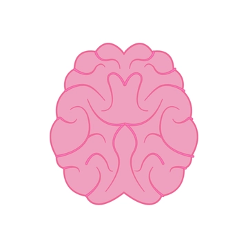 Free Simple Brain Clipart to Edit Online