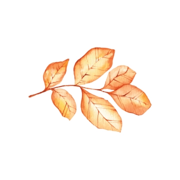 Free Watercolor Fall Clipart to Edit Online
