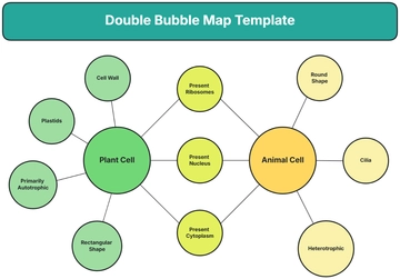 Free Double Bubble Map Template to Edit Online | Template.net